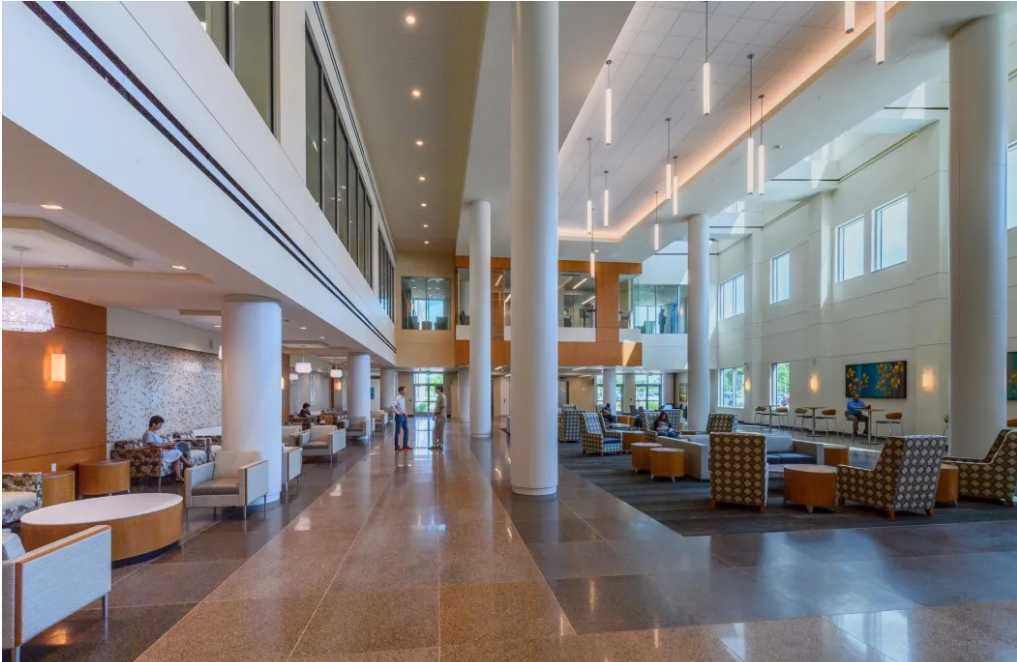 Houston Methodist Hospital: A Century of Medical Pioneering and Prestige